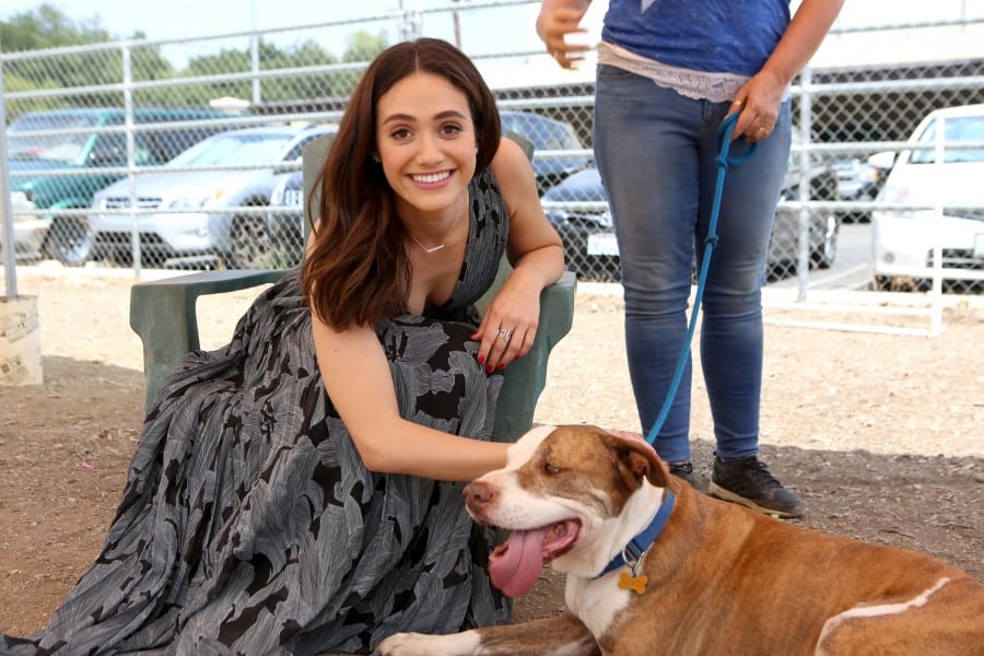Emmy Rossum Partners With Windows 10 And Best Friends Animal Society As Part Of The Upgrade Your World Movement