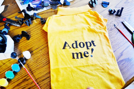 how to make adopt me shirt for adoptable dog