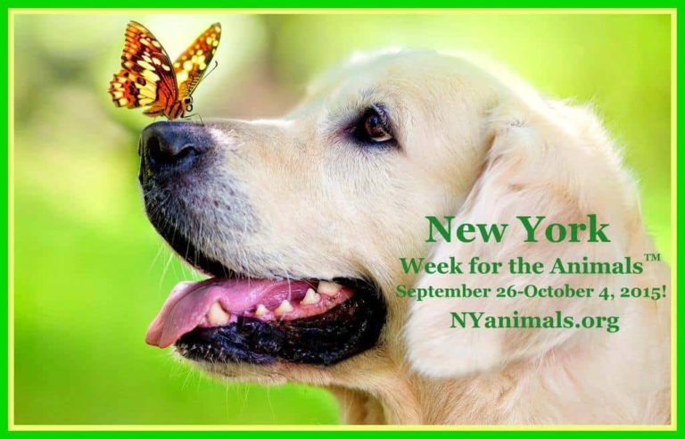 New York Week for the Animals