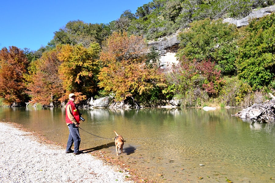 autumn dog walks-john-guadalupe-irie