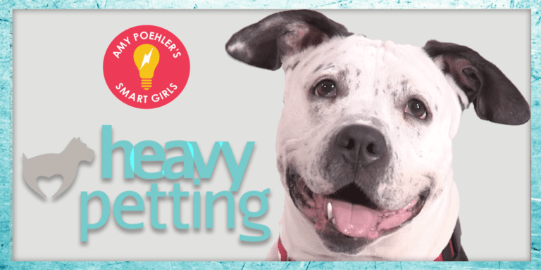 Parks and Recreation’s Aubrey Plaza Promotes Pet Adoption