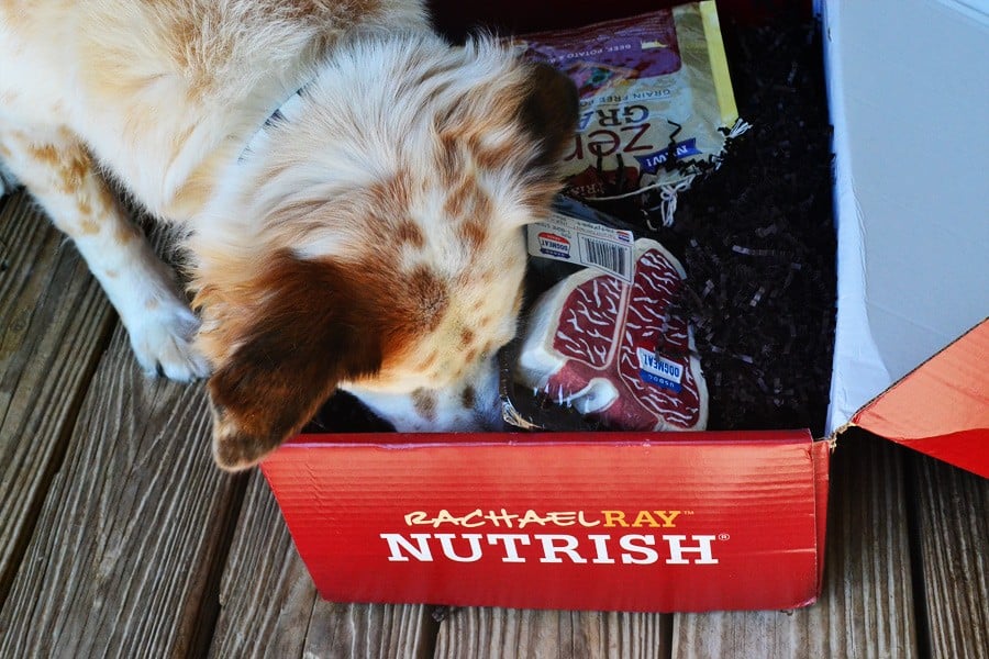 nutrish-box-bison