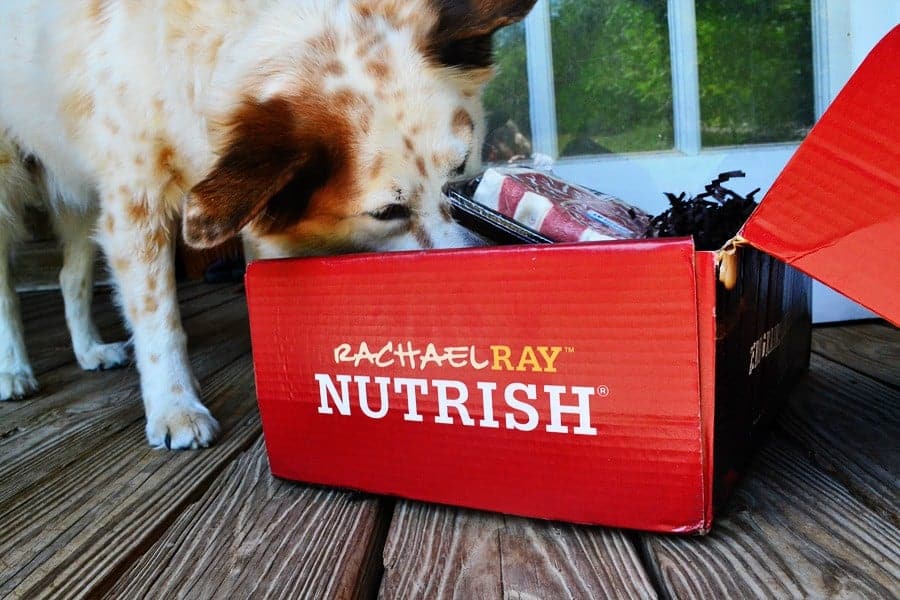 nutrish-box2-bison
