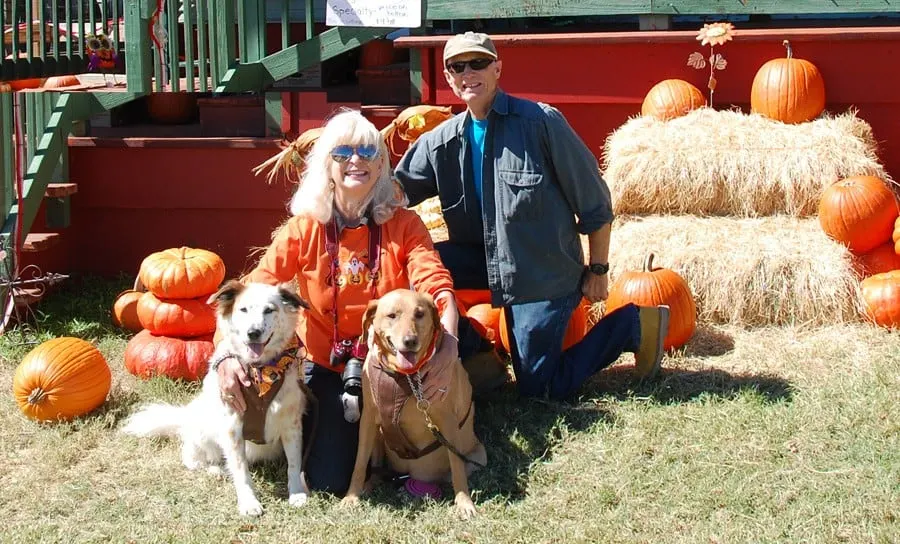 us-pumpkin-patchWEB