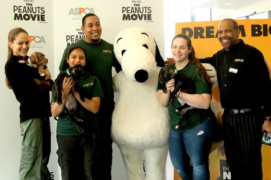Snoopy Finds New Friends at the ASPCA Adoption Center