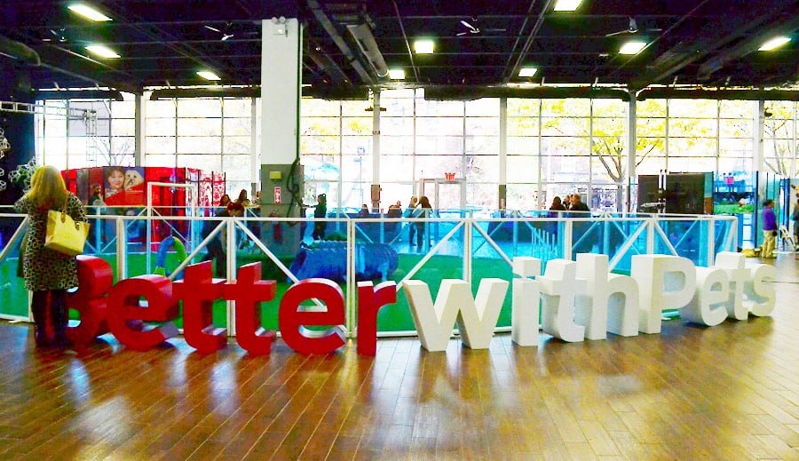 betterwithpets