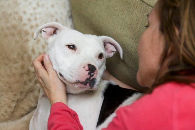 Why Your #RelationshipGoals Should Include the Adoption Option!