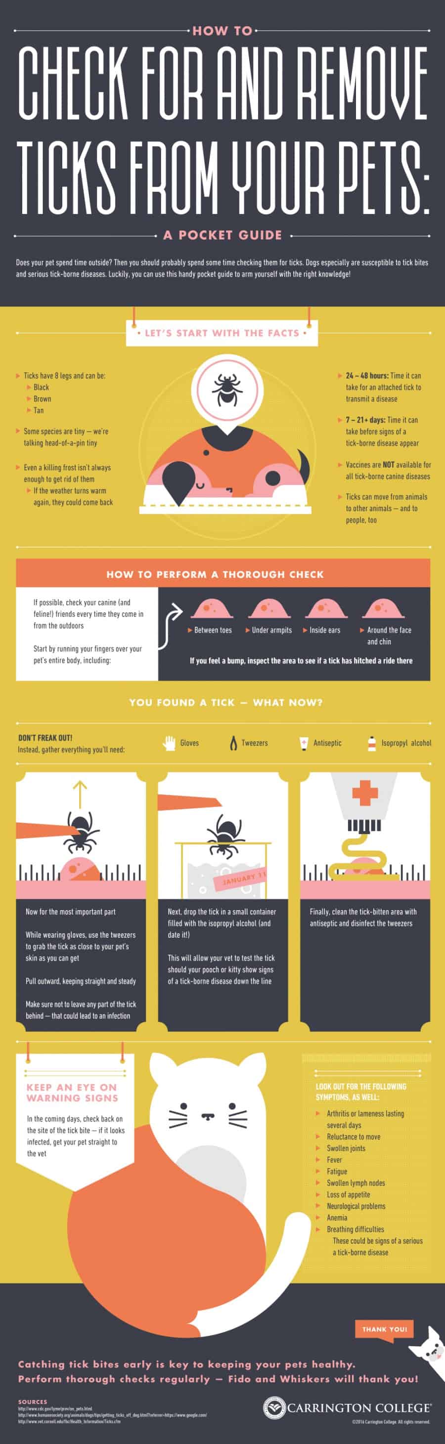 Check-For-and-Remove-Ticks-From-Your-Pets-Infographic