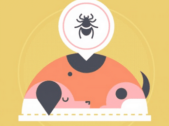 How to Prevent Canine Tick Problems