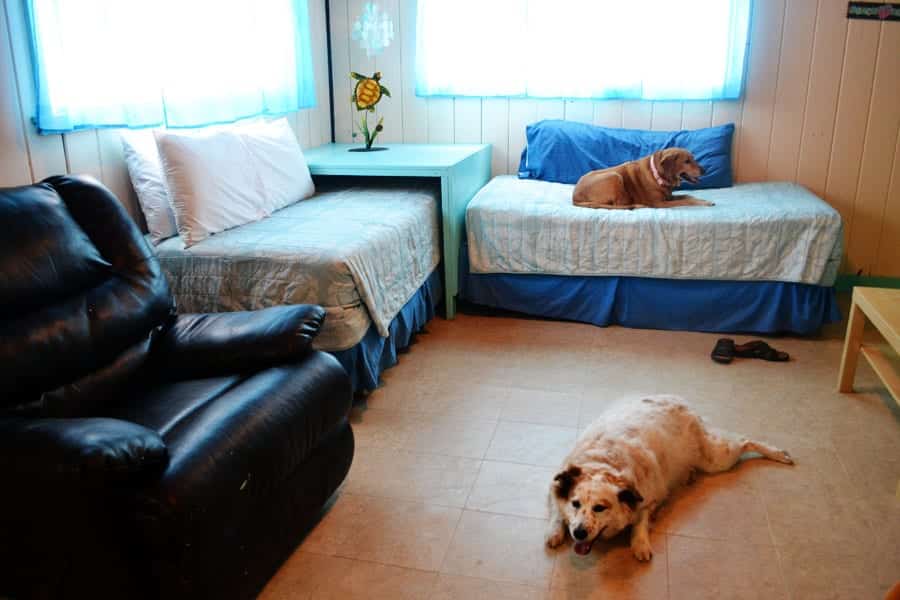 living-room