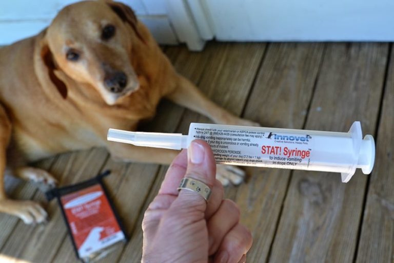 Review: Innovet STAT! Syringe