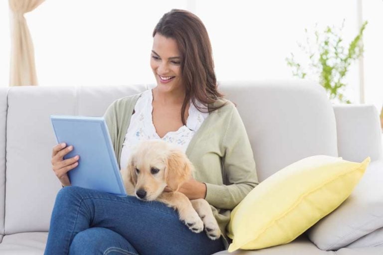 7 Tips for Hiring the Perfect Dog Sitter
