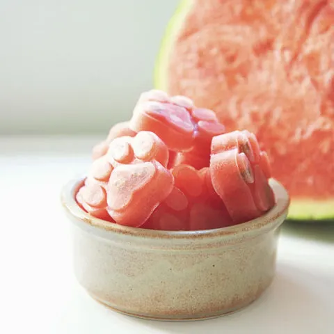 frozen watermelon dog treats