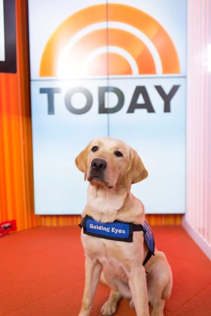 Fwd_ 2016 Guide Dog of Year Honored