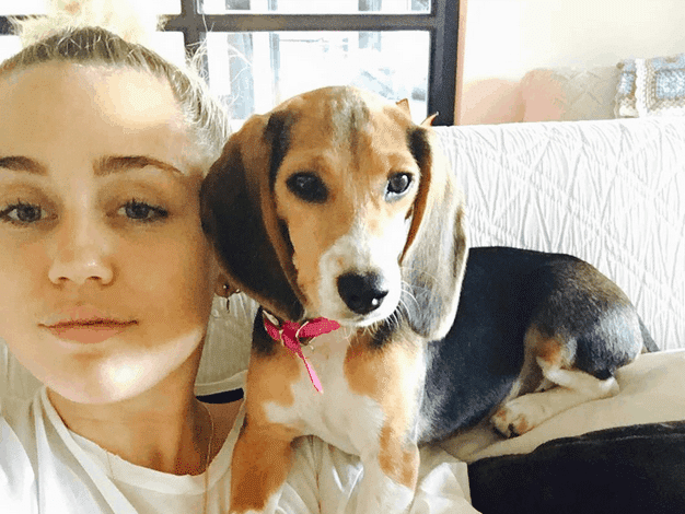 Miley Cyrus Adopts from The Beagle Freedom Project
