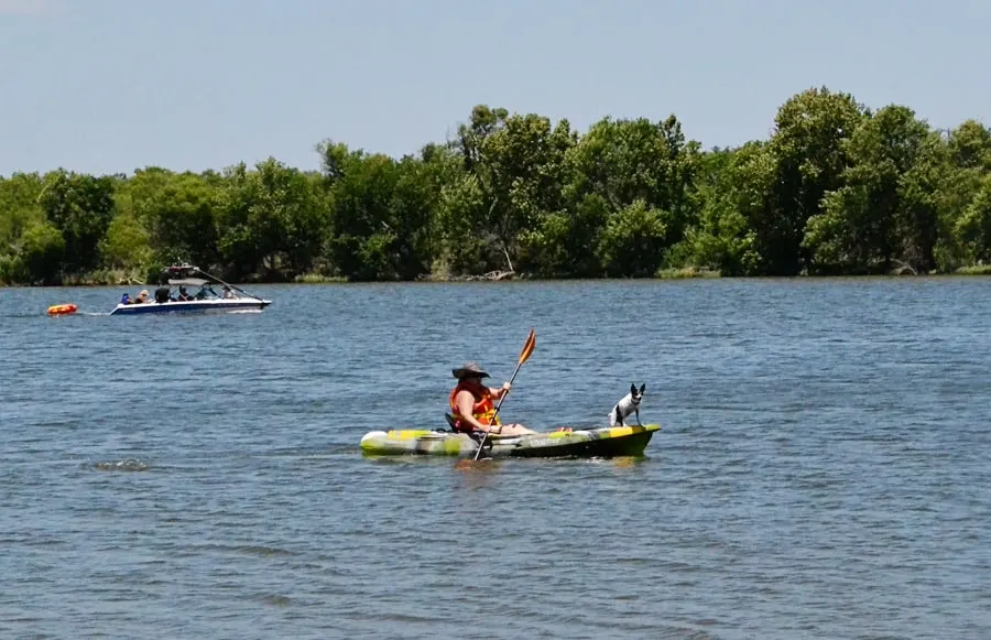 dog friendly inks lake state park