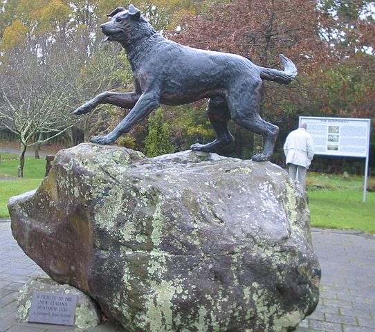 New Zealand dog sculptures-Hunterway-2