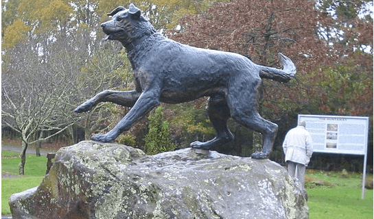 Dog Art: New Zealand Dog Sculptures
