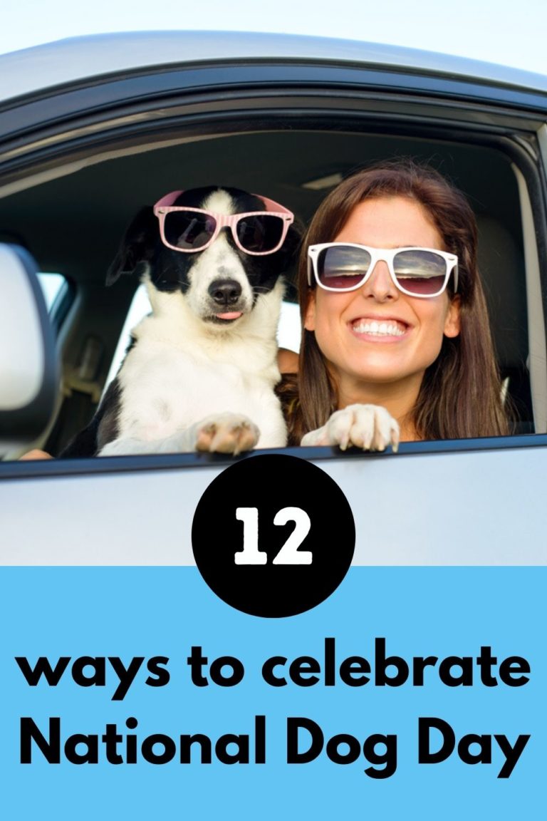 12 Tips to Help Celebrate National Dog Day with a DogFriendly Day Trip!
