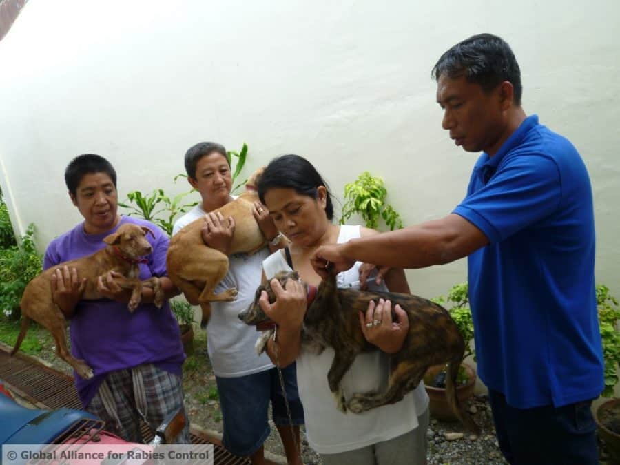 World Rabies Day-16_vaccination_ilocos_norte_philippines_1024_768