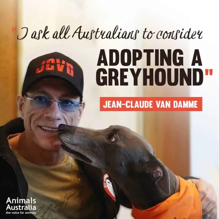 Jean-Claude van Damme Helps Animals Australia