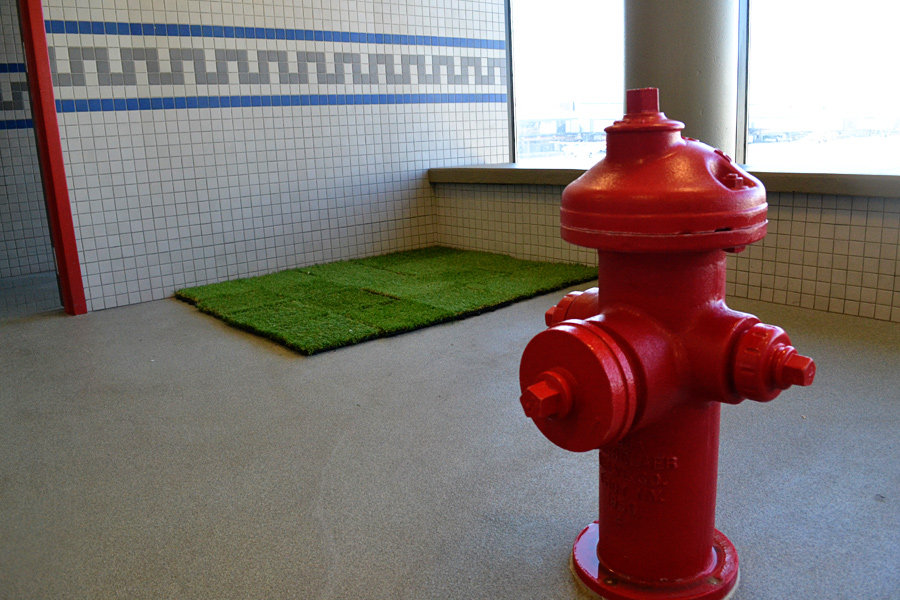 dog relief areas-hydrant