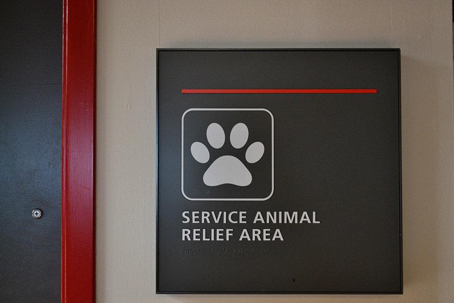 dog relief areas