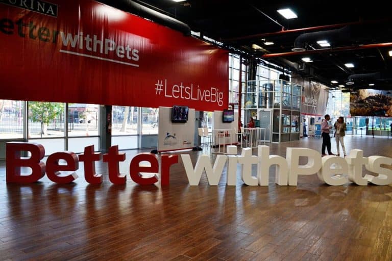 Life is Better with Pets #LetsLiveBig