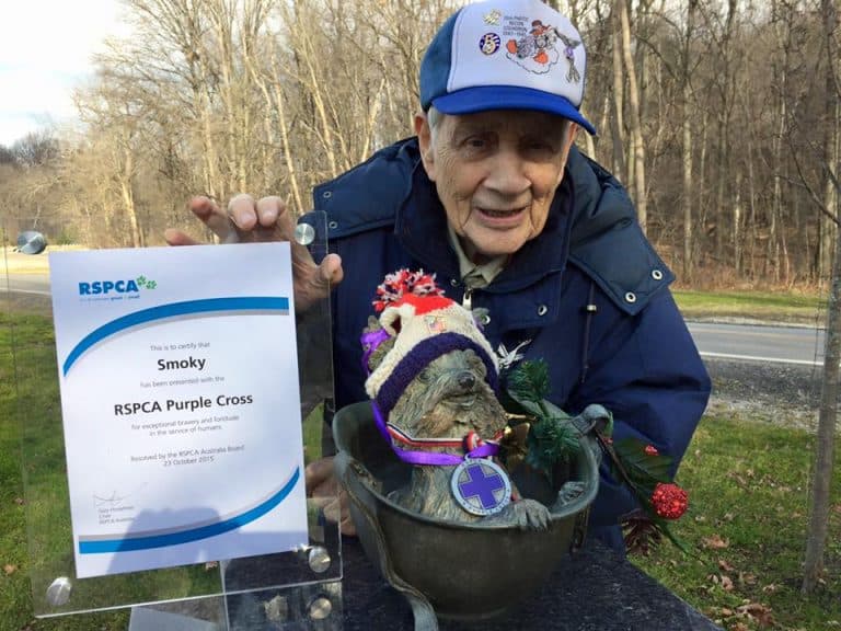 Remembering Smoky the War Dog