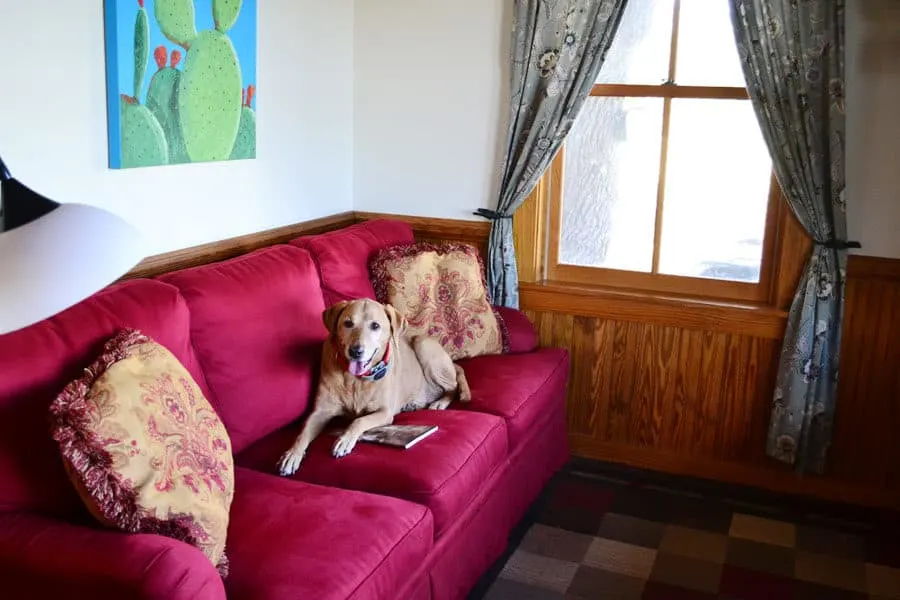 irie-couch