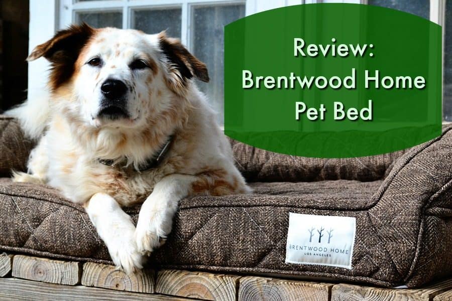 Brentwood Home Pet Bed
