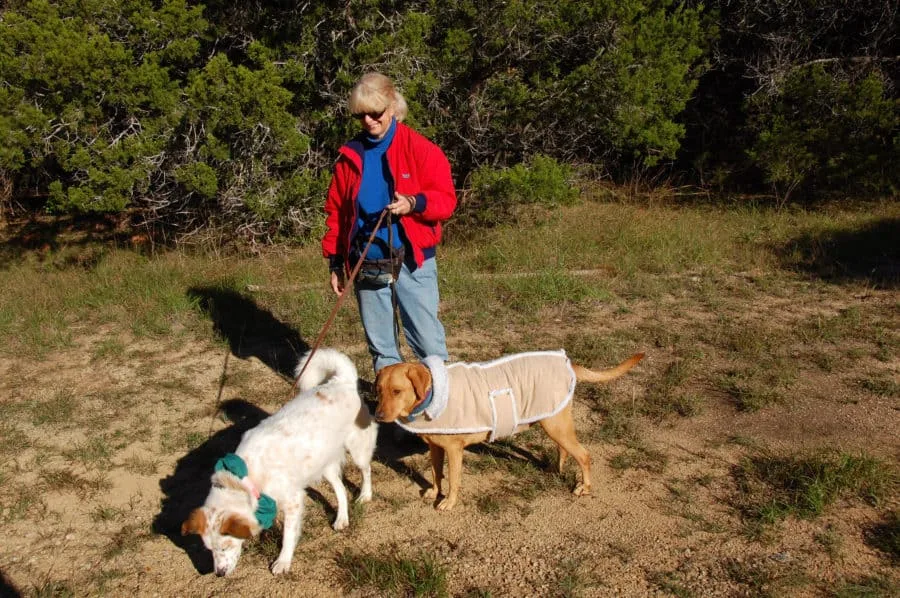 walking two dogs on leash