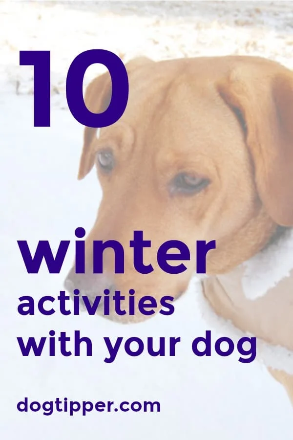 https://www.dogtipper.com/wp-content/uploads/2016/11/winter-activities.jpg.webp