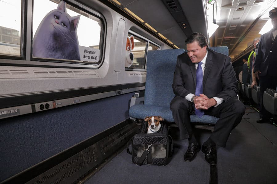 Can Dogs Ride On Amtrak Can Dogs Ride On Amtrak