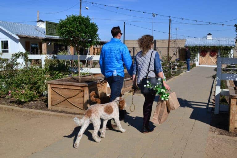 My Visit to Dog-Friendly Magnolia Market in Waco, Texas