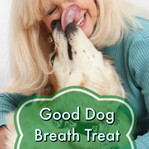 Recipe: Good Breath Dog Treats