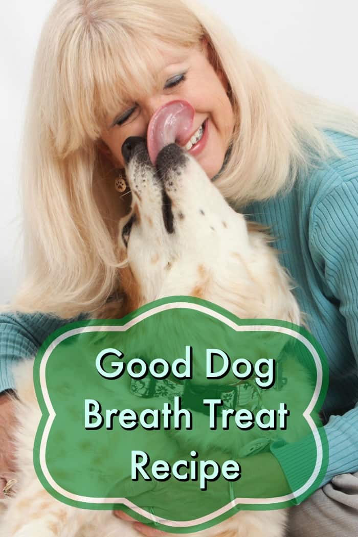 dog kissing woman - good dog breath treat recipe