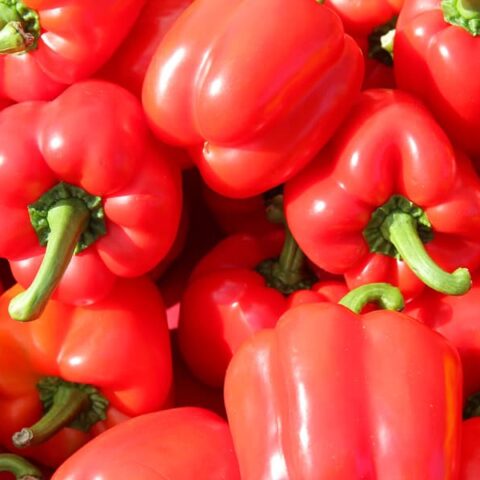 Recipe: Valentine Red Bell Pepper Dog Treats