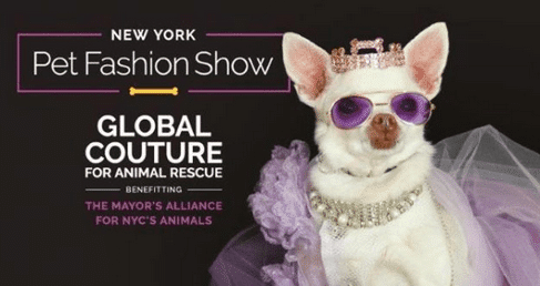New York Pet Fashion Show to Help Dogs in Need