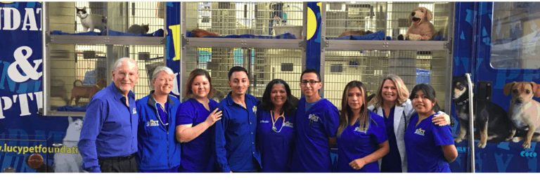 Lucy Pet Foundation Marks World Spay Day on The Hallmark Channel