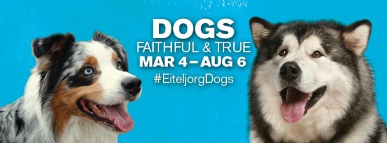 Dogs: Faithful and True Exhibition at Indianapolis Museum