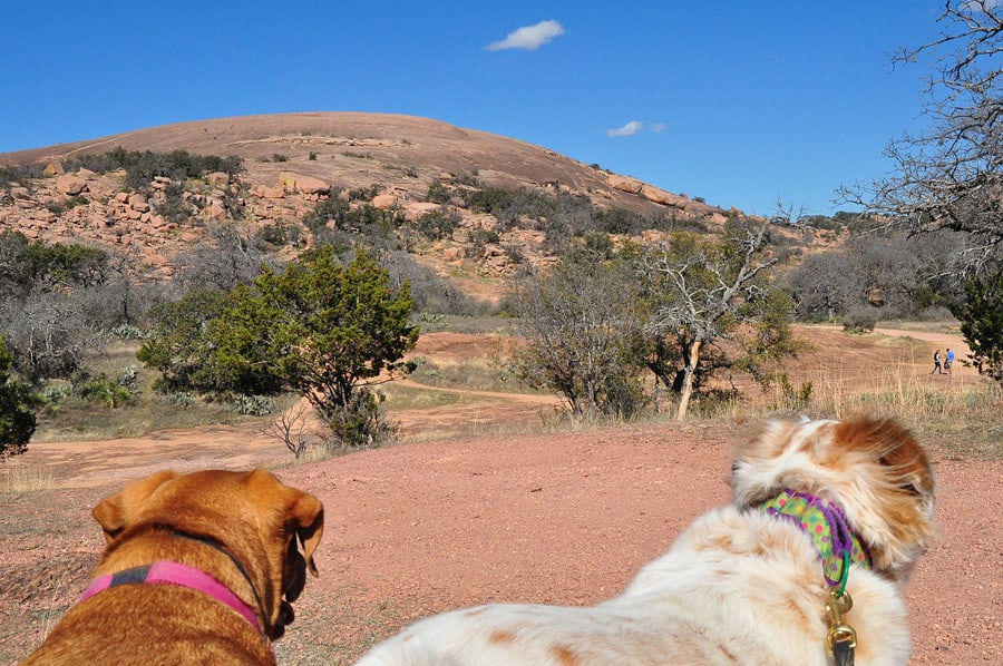 dog friendly enchanted rock state natural area texas