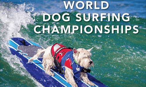 World Dog Surfing Championships Benefit Dogs in Need