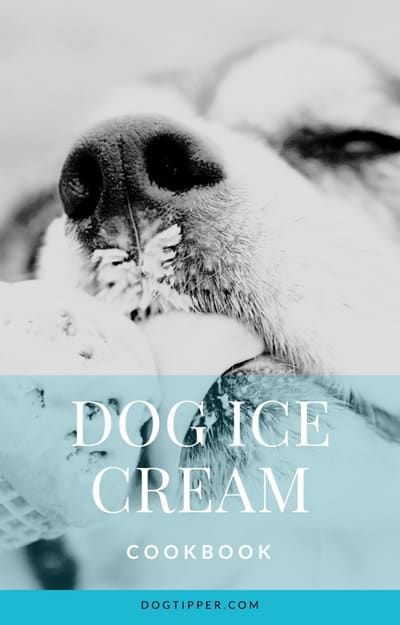 dog ice cream cookbook