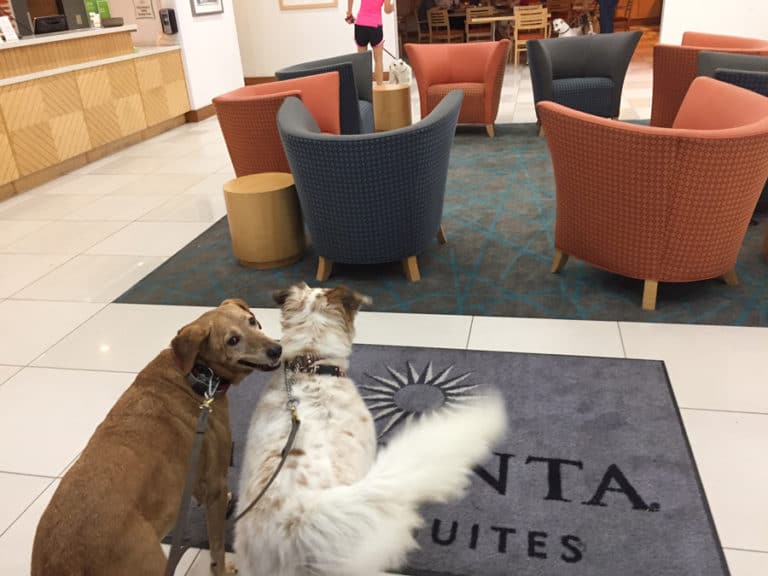 When It Rains, It Pours #HurricaneHarvey