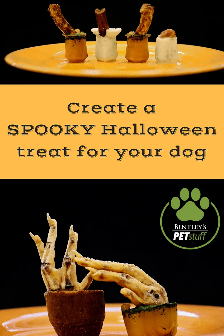 Halloween dog treat -- spooky chicken feet in frozen dog treat