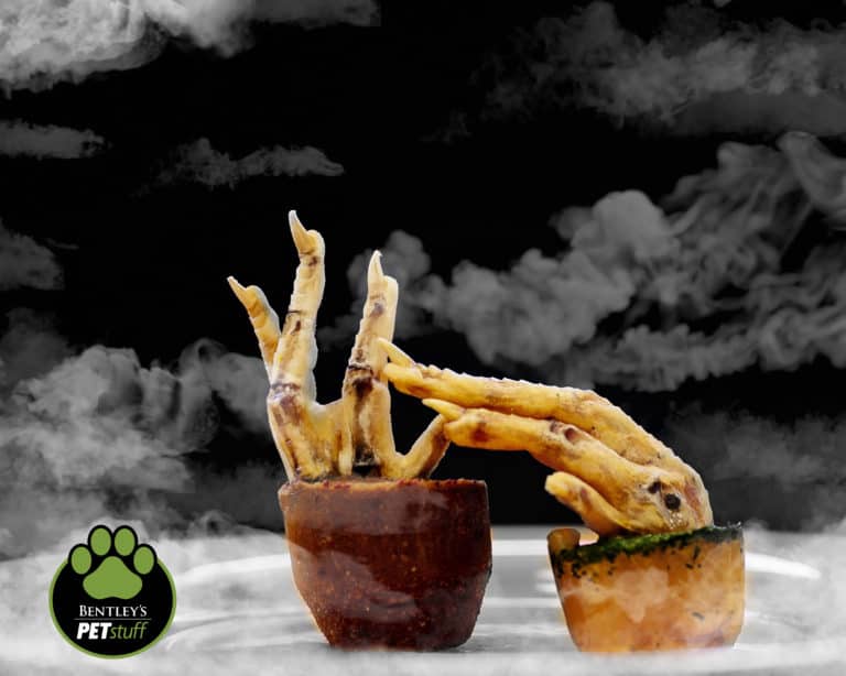 Create a Spooky Halloween Treat for Your Dog!