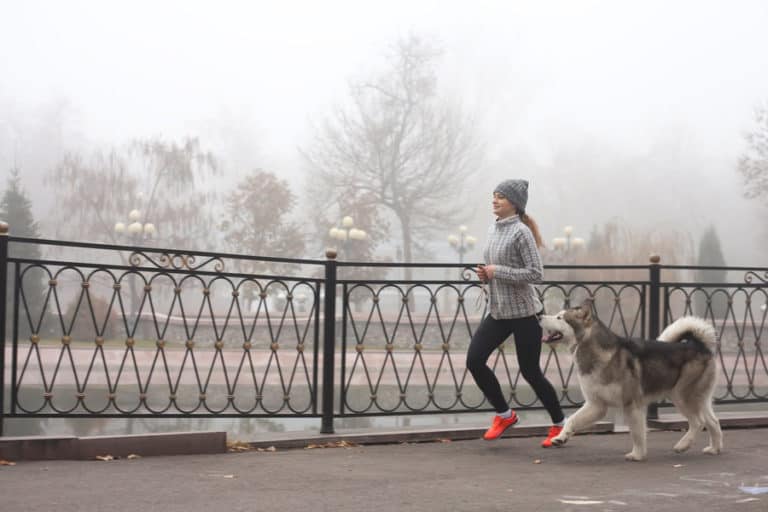 9 Ways to Get Fit with Your Dog!