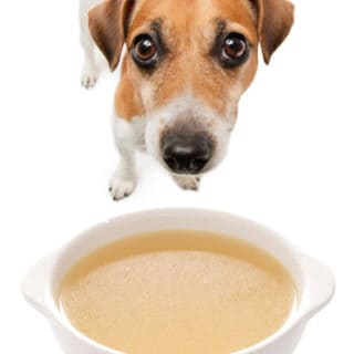 Homemade Chicken Broth for Your Dog