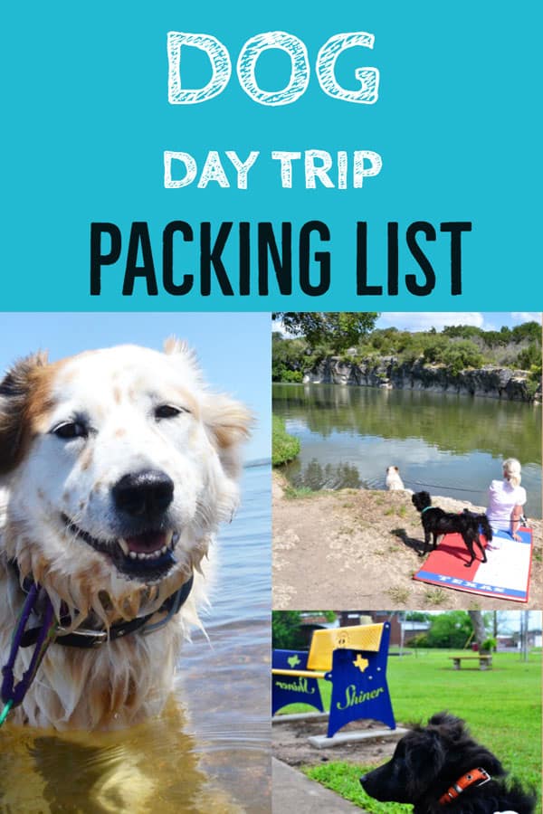 dog day trip packing list
